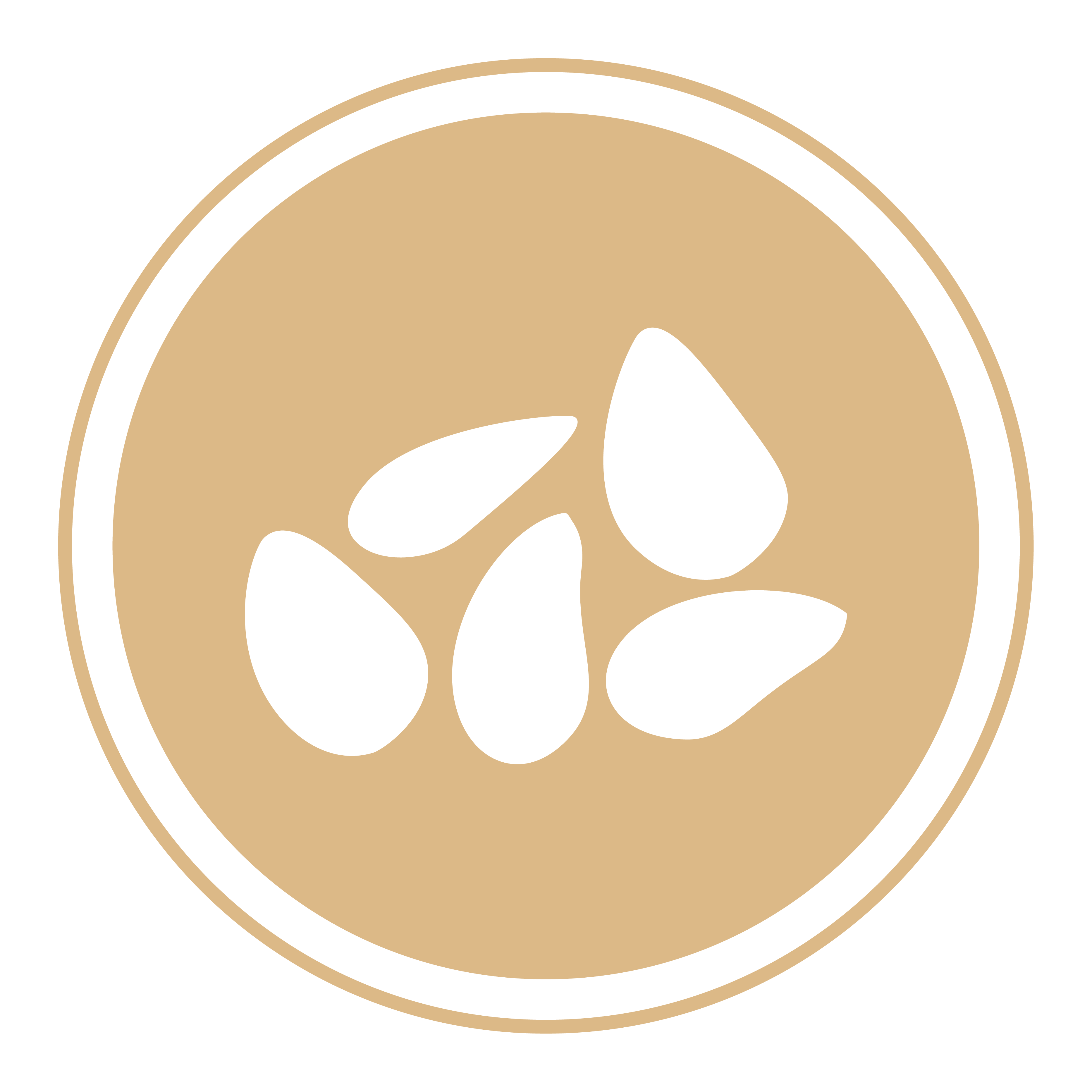 Sesame seeds icon
